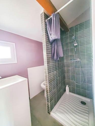 une salle de bain avec une douche, un lavabo et des toilettes dans l'établissement Maisonnette avec extérieur avec parking, à Saint-Jean-de-Védas