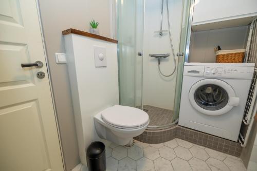 ein Badezimmer mit einem WC und einer Waschmaschine in der Unterkunft Apartment close to downtown in Akureyri