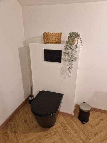 a bathroom with a black toilet in a room at Habitat in Momignies