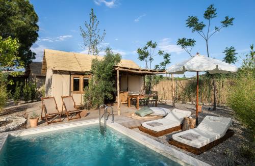 eine Villa mit einem Pool und einem Haus in der Unterkunft Ergon Beach House Nikiti in Nikiti