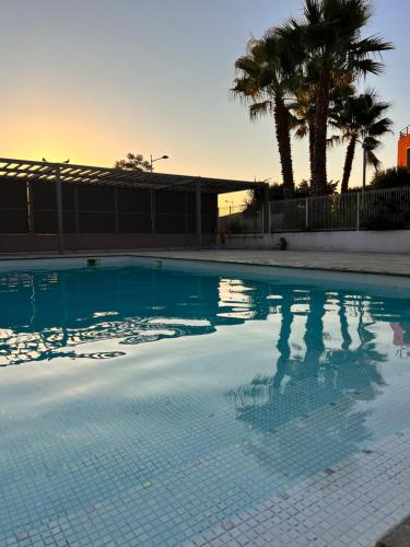 une grande piscine avec des palmiers en arrière-plan dans l'établissement Superbe villa sur toit unique, à Mauguio