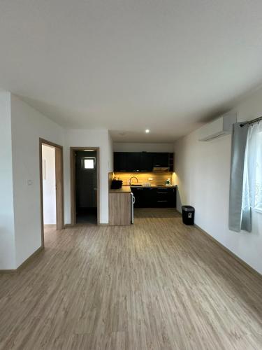 an empty room with a kitchen and a living room at Pension u Vlčků in Hracholusky