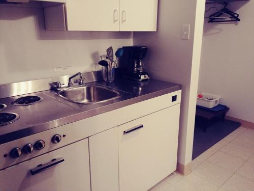 Dapur atau dapur kecil di Hébergements Station de ski Val-d'Irène