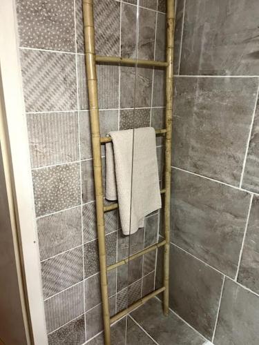 La salle de bains est pourvue d'une douche et d'un sèche-serviettes. dans l'établissement Mazet provençal, à Eyguières