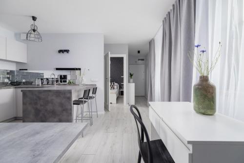 One Bedroom Apartment with a Balcony - Dietla 109 street