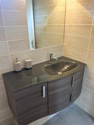 une salle de bain avec un lavabo et un miroir dans l'établissement villa avec piscine et grand jardin, à Nîmes