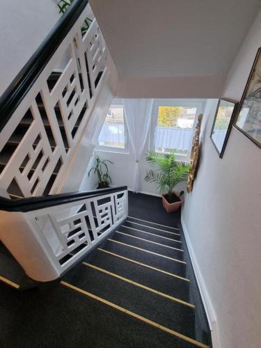 a hallway with stairs with potted plants at Hotel Elisabeth Ilse in Braunlage