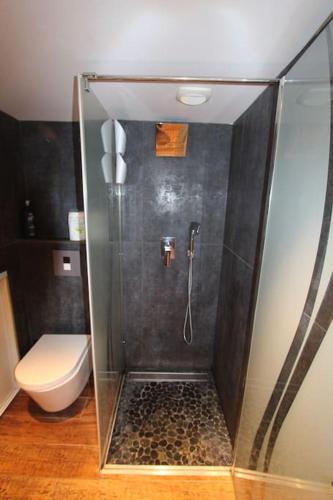 une douche dans une salle de bain avec toilettes dans l'établissement Confortable Studio Carré d'OR 2Pers, rez-de-chaussée, à Marseille