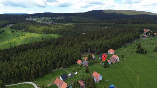 an aerial view of a house in a field with trees at Vila Holiday - Golija in Novi Pazar