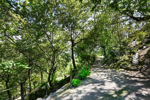 a tree lined path in a park with a fence at Casas das Olas in Arcos de Valdevez