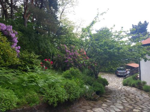 Un jardín fuera de B&B Le Camelie del Bosco