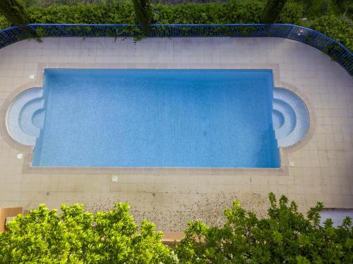 une piscine bleue sur un immeuble avec des arbres dans l'établissement Appartement Vue Mer Mandelieu, à Mandelieu-la-Napoule