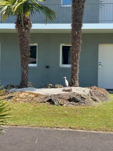 a bird sitting on a rock between two palm trees at Sure Hotel by Best Western Mont-de-Marsan in Saint-Pierre-du-Mont