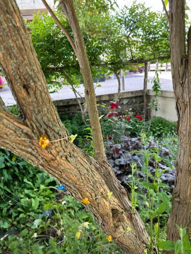 Taman di luar PIVOINE Chambre d hotes