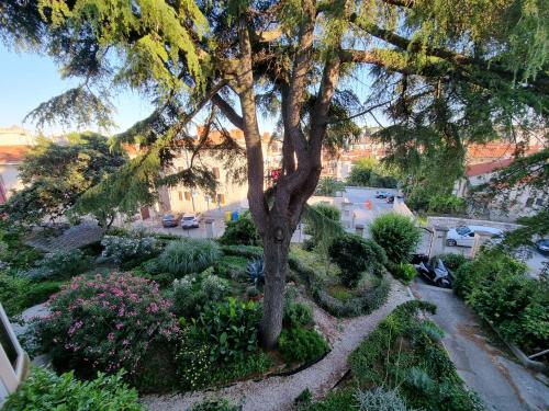 SubCastrum Apartments