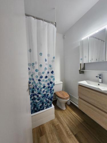une salle de bain avec toilettes et rideau de douche dans l'établissement Le Sunset accès direct Port et à 5 min de la plage Carnon, à Mauguio