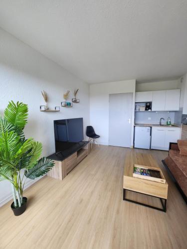 un salon avec un canapé et une table dans l'établissement Le Sunset accès direct Port et à 5 min de la plage Carnon, à Mauguio