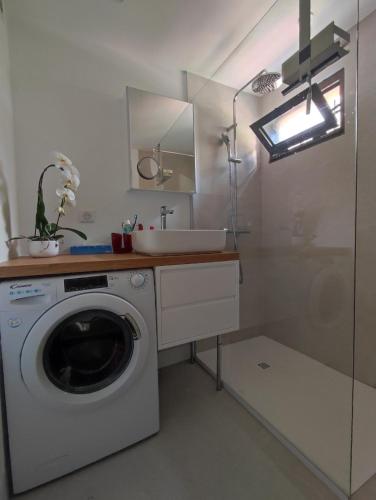 une salle de bain avec une machine à laver et un lavabo dans l'établissement Le Palmier, jardin privatif, plage 200m, classé 3 étoiles, wifi, garage,rénové en 2024, à Cavalaire-sur-Mer