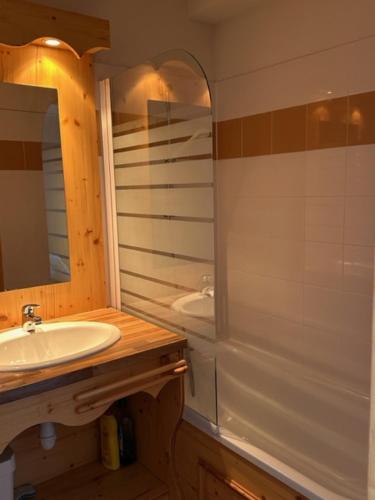 a bathroom with a sink and a mirror and a tub at Nivéole, studio 2 personnes, Les Balcons de Recoin in Chamrousse