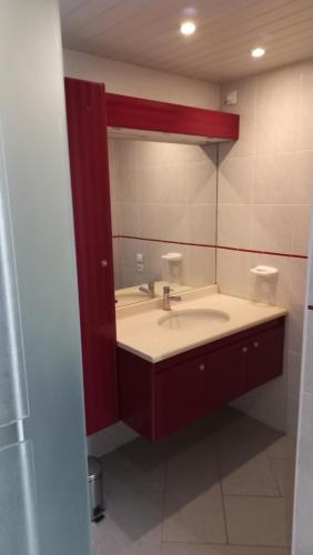 MontbazinにあるLe loftの洗面台と大きな鏡のあるバスルーム