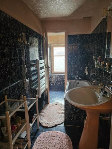 bagno con vasca e lavandino di chambres d'hôtes les frérots a Lurcy-le-Bourg