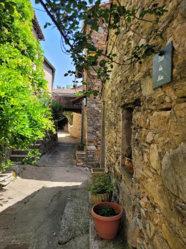 une ruelle avec un bâtiment en pierre avec des plantes dessus dans l'établissement Le Beau Rêve, à Vieussan