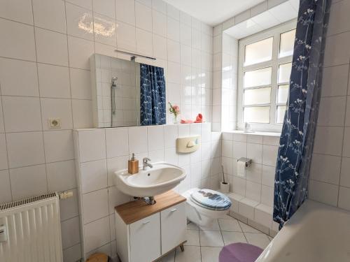 a bathroom with a sink and a toilet at HW1B - Urlaubsmagie Gemeinschaftsgarten mit Pool, Sauna & Terrasse in Sebnitz