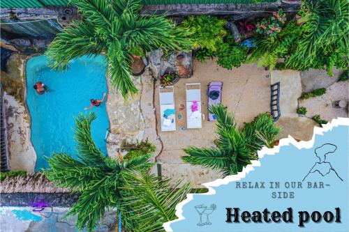a view of a treated pool at a resort with palm trees at Poshtel Arenal in Fortuna