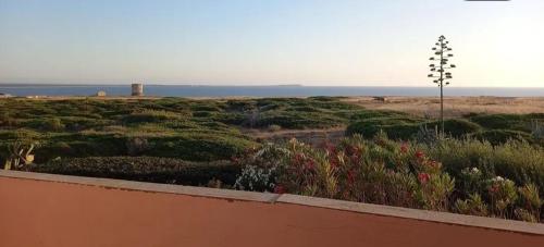 a view of a field with flowers and the ocean at Villetta Macchia Mediterranea in Cuglieri