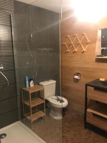łazienka z toaletą i prysznicem w obiekcie CHALET CAPRICES DES CIMES w mieście Bolquere Pyrenees 2000