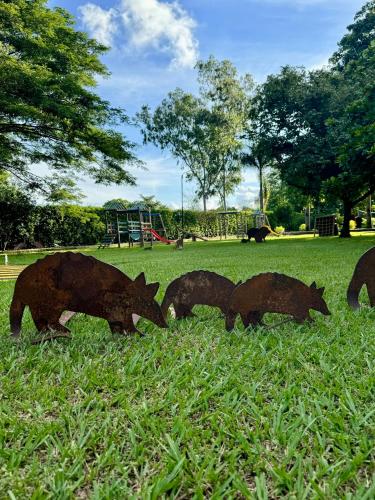 a group of animals grazing in the grass at Hotel Morúa in Yopal