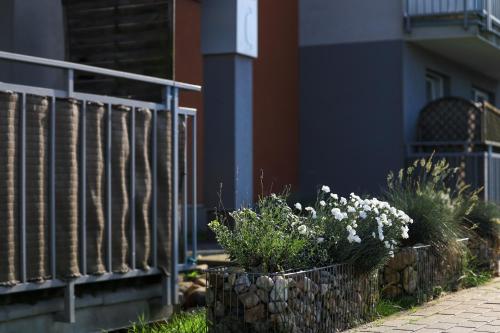 a garden with white flowers in a stone wall at Apartament Komandorski przy Aquaparku in Reda