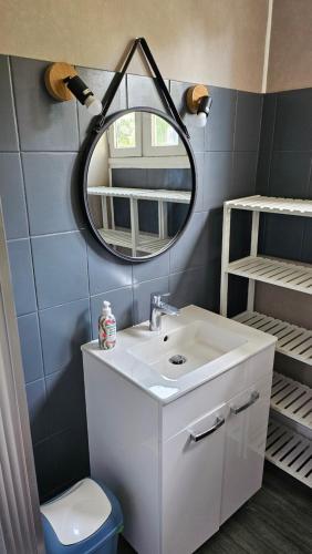 a bathroom with a sink and a mirror and a toilet at Au Bois Fleuri in Bracieux