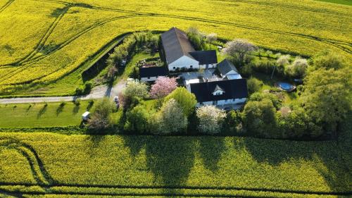 an aerial view of a house in a field at Rosdala gård - gästhuset in Rydsgård