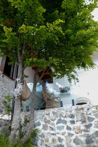 two trees in front of a building with a bench at Hotel Thethi in Theth
