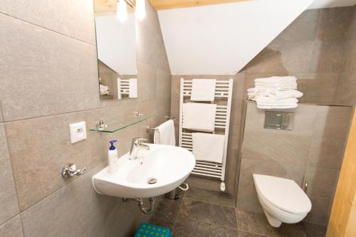 a bathroom with a sink and a toilet at Bedřichovská Devítka in Bedřichov