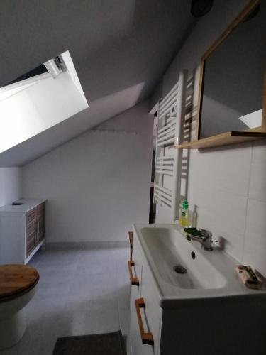 une salle de bain avec un lavabo et des toilettes dans l'établissement MA SOLOGNE,ZOO BEAUVAL,CHATEAUX DE LA LOIRE,GOLF, à Sassay