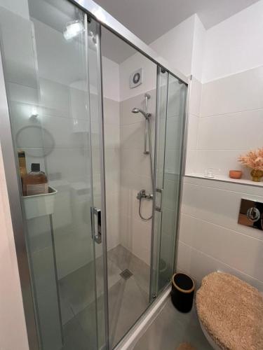 a shower with a glass door in a bathroom at Rome Stylish apt w Working Space and Paid Parking Spot in Sofia