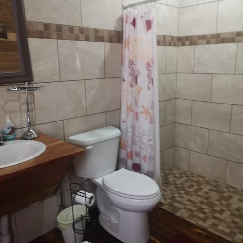 a bathroom with a toilet and a sink at Barton Creek Unique Resort in Sayab Camp