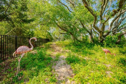 two flamingos walking down a dirt road with trees at All Sands On Deck in Oak Island