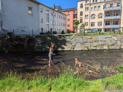 a person and a dog standing next to a stone wall at HW1B - Urlaubsmagie Gemeinschaftsgarten mit Pool, Sauna & Terrasse in Sebnitz
