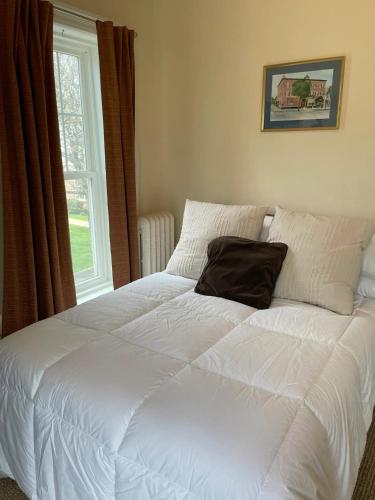 a white bed with a pillow on it in front of a window at HISTORIC COMFY CONDO- Heart of Ellicottville, Self Checkin in Ellicottville
