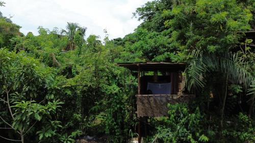 a small shack in the middle of a forest at The Valley Tayrona hostel- A social jungle hostel in El Zaino