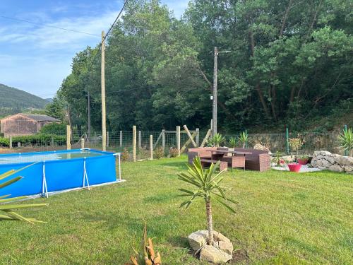 a palm tree in a yard next to a pool at El nido del cuco in Padrón