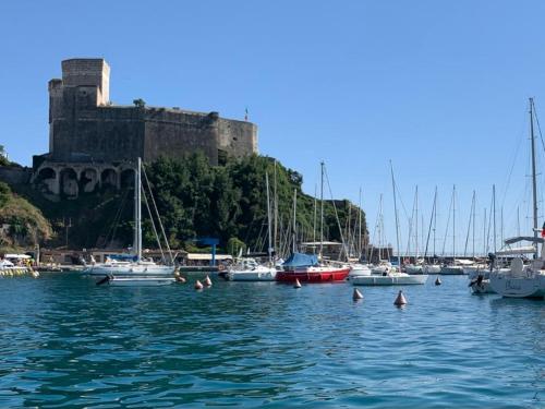 a group of people swimming in the water with boats at Relax a pochi passi dal Mare in Arcola