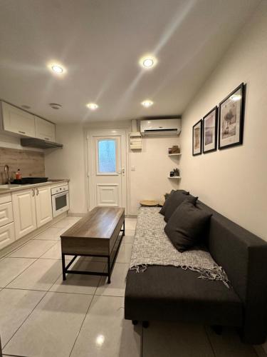 un salon avec un canapé et une table dans l'établissement Jolie appartement Nice proche mer et aéroport Une chambre plus salon avec cuisine, à Nice