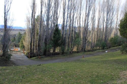 a winding road through a park with trees and grass at Alamos del sur Apart hotel in San Carlos de Bariloche