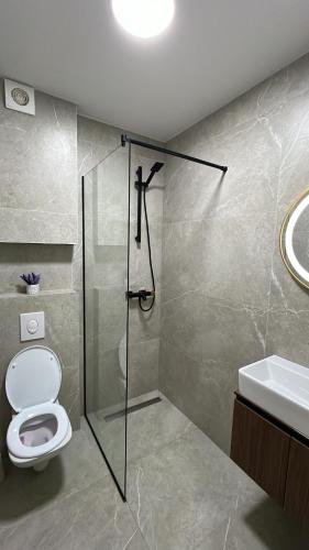 a bathroom with a shower and a toilet and a sink at Luxury Villa Mojito in Široki Brijeg