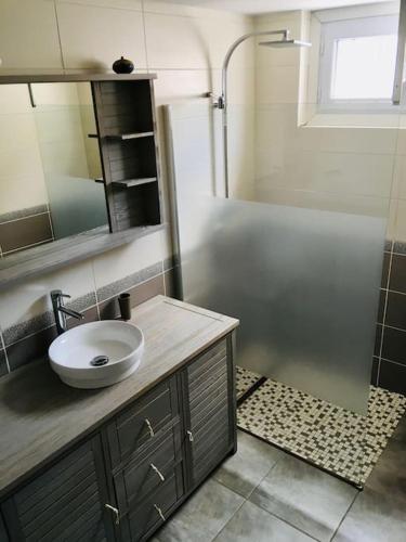 une salle de bain avec un lavabo et une douche dans l'établissement Villa au calme dans le Luberon avec piscine, à Cheval-Blanc