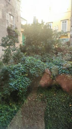 109C Mezzocannone Charming flat